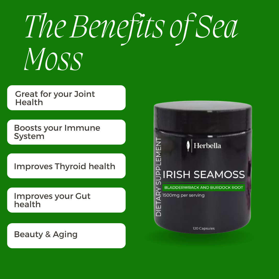 Seamoss- Irish